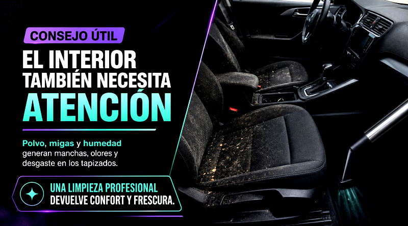 Consejo sobre limpieza profesional del interior